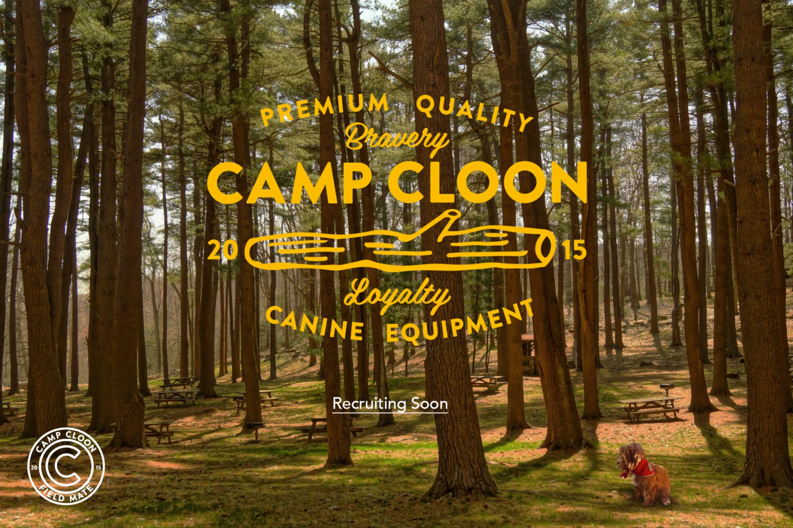 camp-cloon-shopify-success-story-kanook-studio3